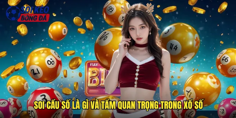Soi cầu số là gì và tầm quan trọng trong xổ số