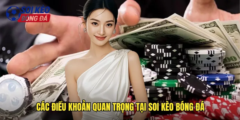 Điều Khoản Điều Kiện Soi Kèo Bóng Đá Quy Định Rõ Ràng Minh Bạch 2 Các Điều Khoản Quan Trọng Tại Soi Kèo Bóng Đá