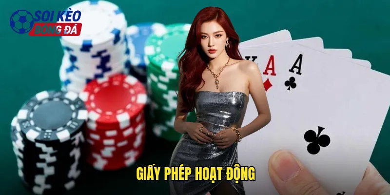 Giấy Phép Hoạt Động