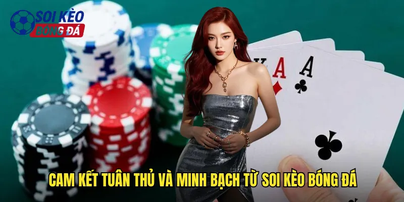 Cam Kết Tuân Thủ Và Minh Bạch Từ Soi Kèo Bóng Đá