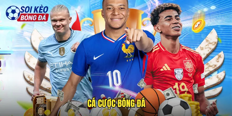 Hướng Dẫn Cá Cược Bóng Đá Soi Kèo Bóng Đá Từ Cơ Bản Đến Nâng Cao 1 Cá cược bóng đá