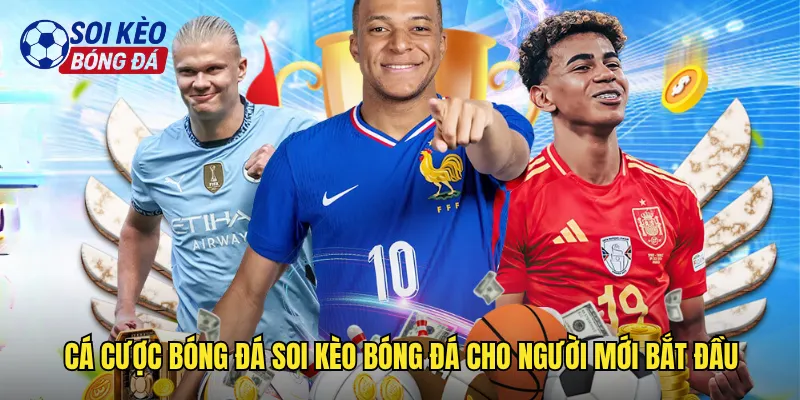 Hướng Dẫn Cá Cược Bóng Đá Soi Kèo Bóng Đá Từ Cơ Bản Đến Nâng Cao 2 Cá Cược Bóng Đá Soi Kèo Bóng Đá Cho Người Mới Bắt Đầu