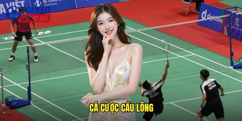 cá cược cầu lông