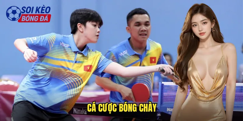 Cá cược bóng chày