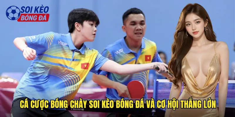 Khám Phá Cá Cược Bóng Chày Soi Kèo Bóng Đá Đẳng Cấp MLB Mỹ 2 Cá Cược Bóng Chày Soi Kèo Bóng Đá Và Cơ Hội Thắng Lớn