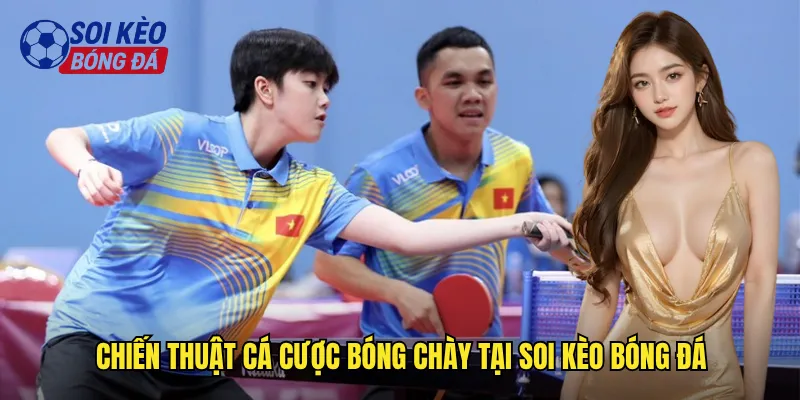 Khám Phá Cá Cược Bóng Chày Soi Kèo Bóng Đá Đẳng Cấp MLB Mỹ 3 Chiến Thuật Cá Cược Bóng Chày Tại Soi Kèo Bóng Đá