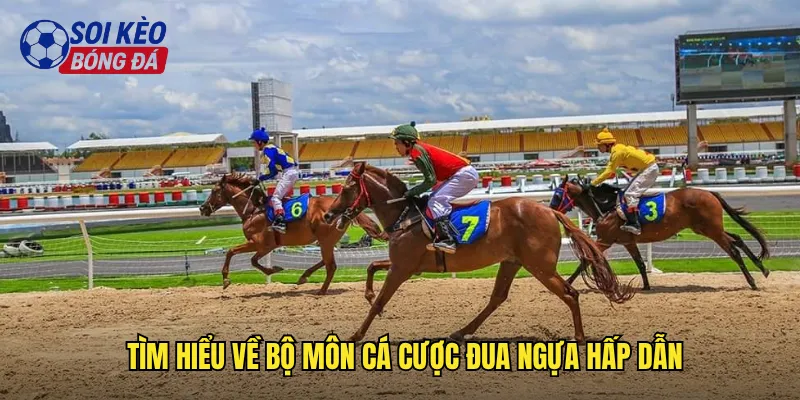 Khám Phá Cá Cược Đua Ngựa Tại Soi Kèo Bóng Đá: Thú Vui Đẳng Cấp 2 Tìm hiểu về bộ môn cá cược đua ngựa hấp dẫn