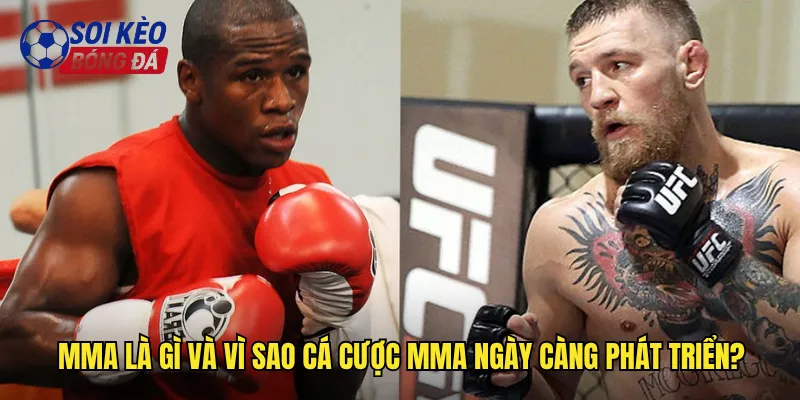 MMA là gì và vì sao cá cược MMA ngày càng phát triển?