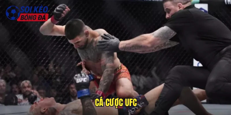 cá cược UFC