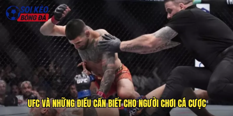 UFC và những điều cần biết cho người chơi cá cược