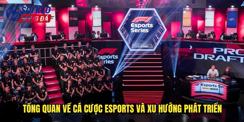 Tổng quan về cá cược eSports và xu hướng phát triển