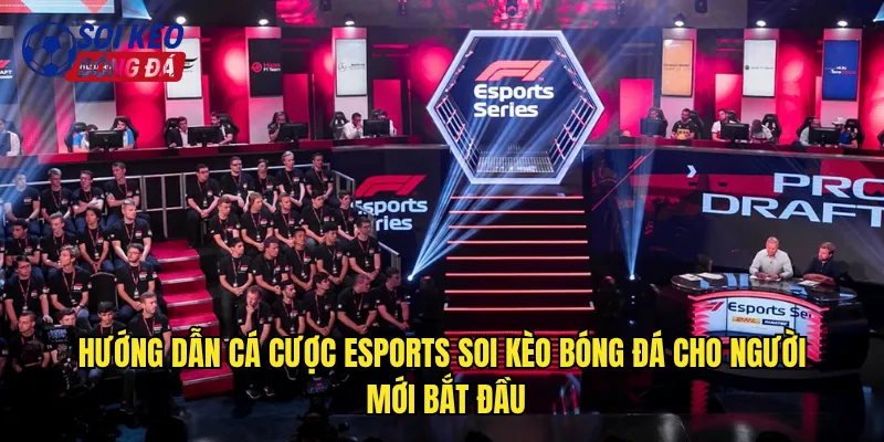 Hướng dẫn cá cược eSports soi kèo bóng đá cho người mới bắt đầu